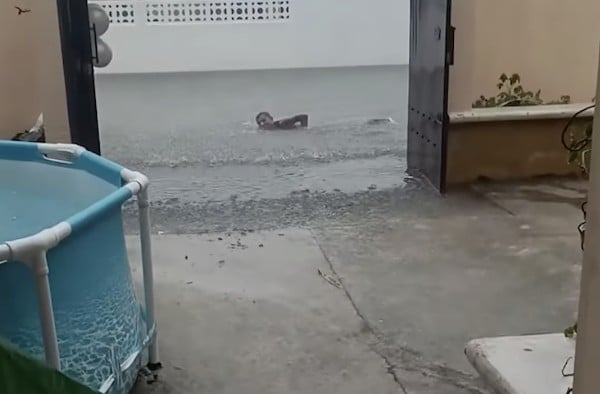 VIDEO Hombre se viraliza al cruzar inundación nadando para llegar hasta su casa