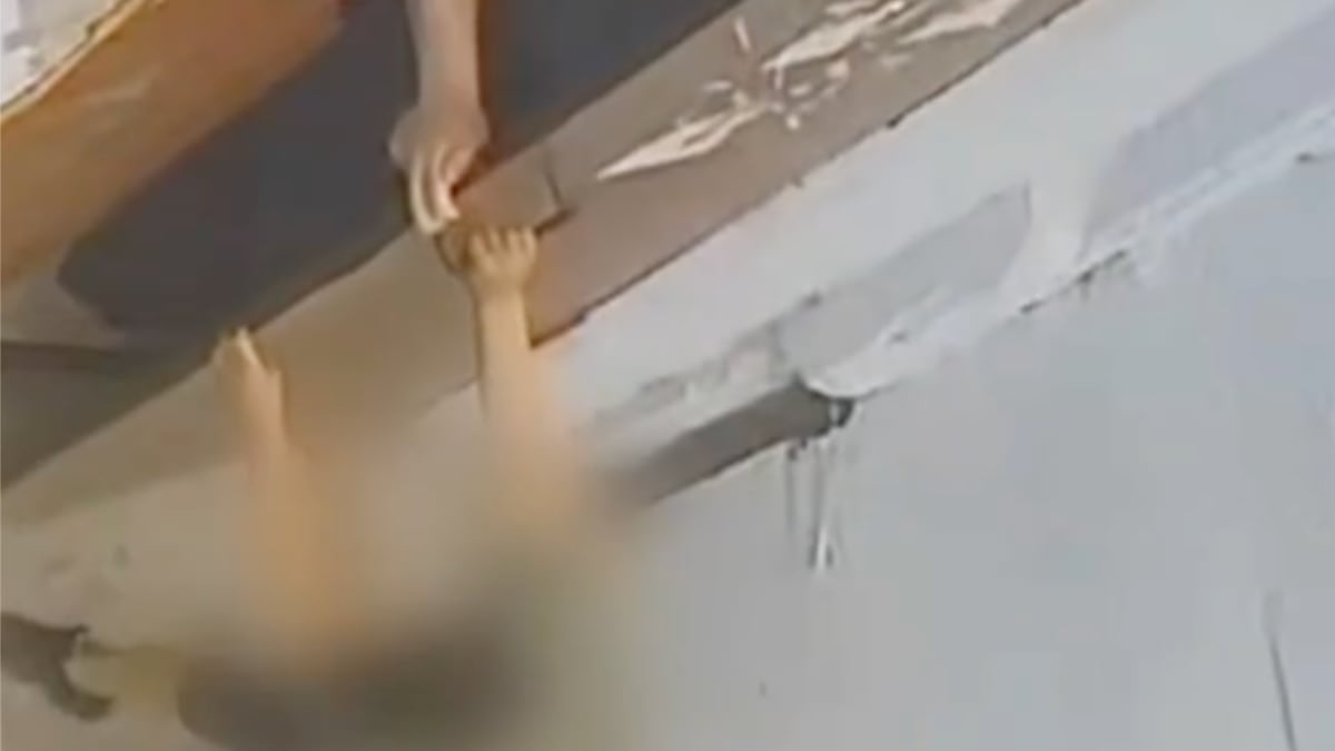 VIDEO ¡Qué valiente! Rápida reacción de un niño impidió secuestro de una menor