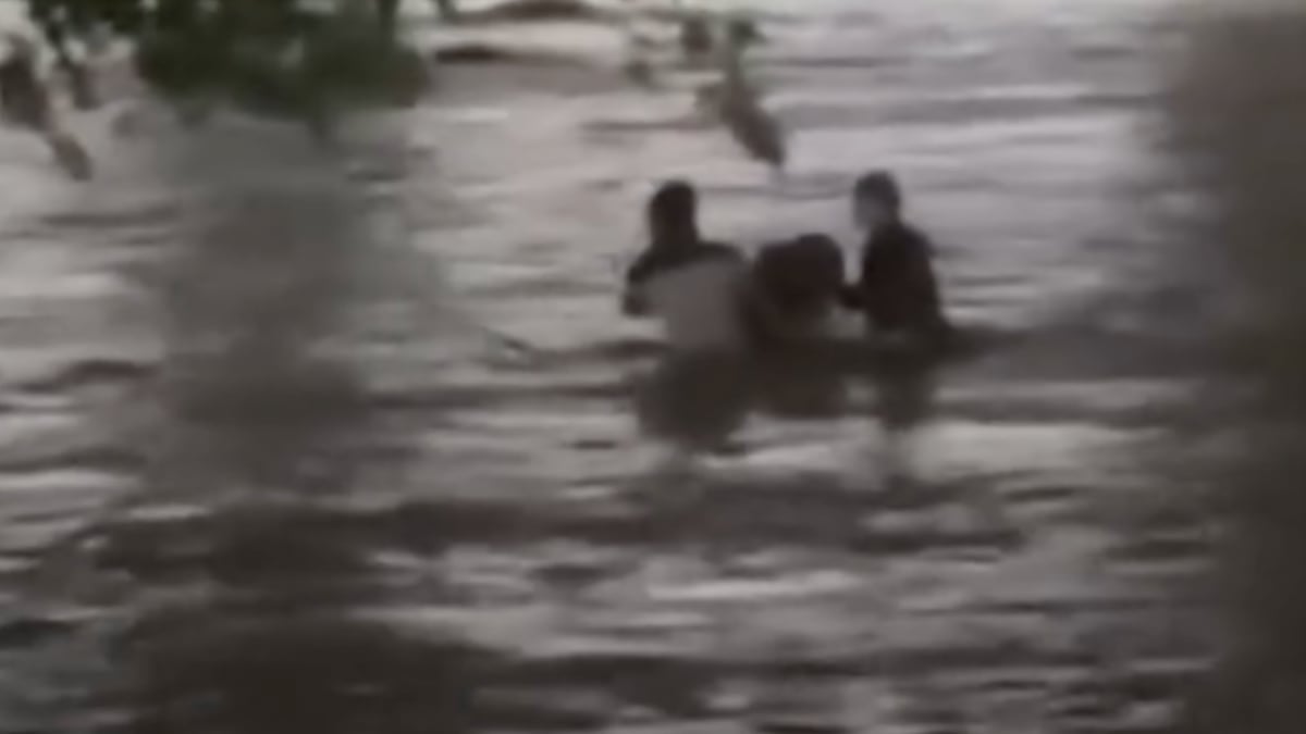 VIDEO ¡Intentaron salvarse! Padre e hijo mueren por las intensas lluvias