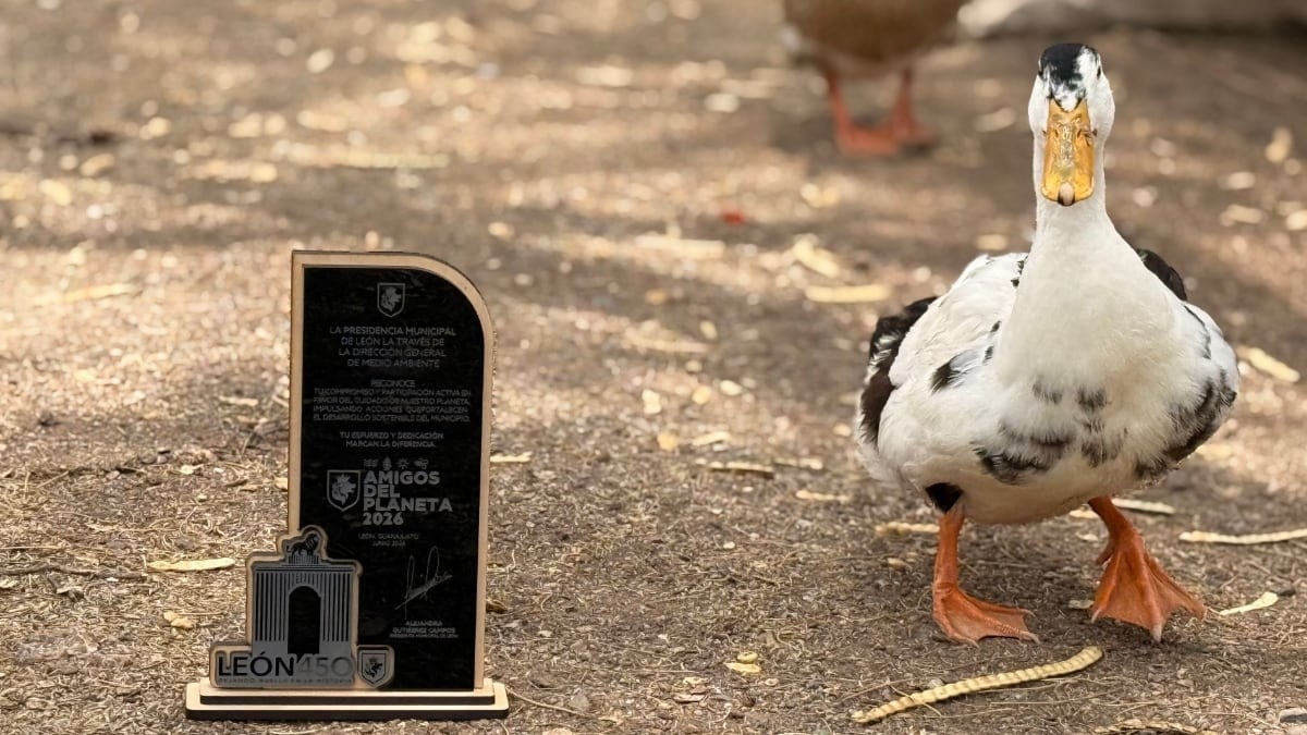 ¡Vivan los patitos! Reconocen al Parque Metropolitano por conservación de especies acuáticas