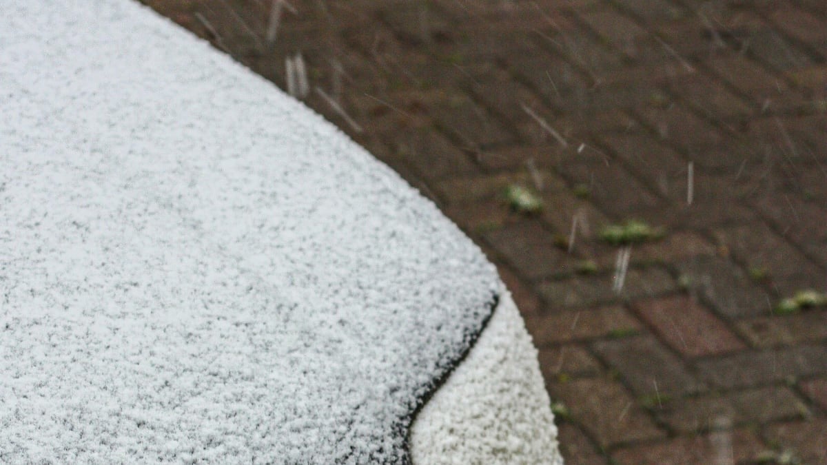 Clima en León hoy sábado 6 de junio: ¿Caerá granizo?