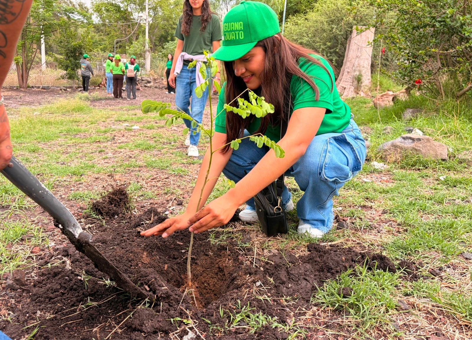 Impulsa Partido Verde reforestación en 16 municipios del estado; planta más de 400 árboles
