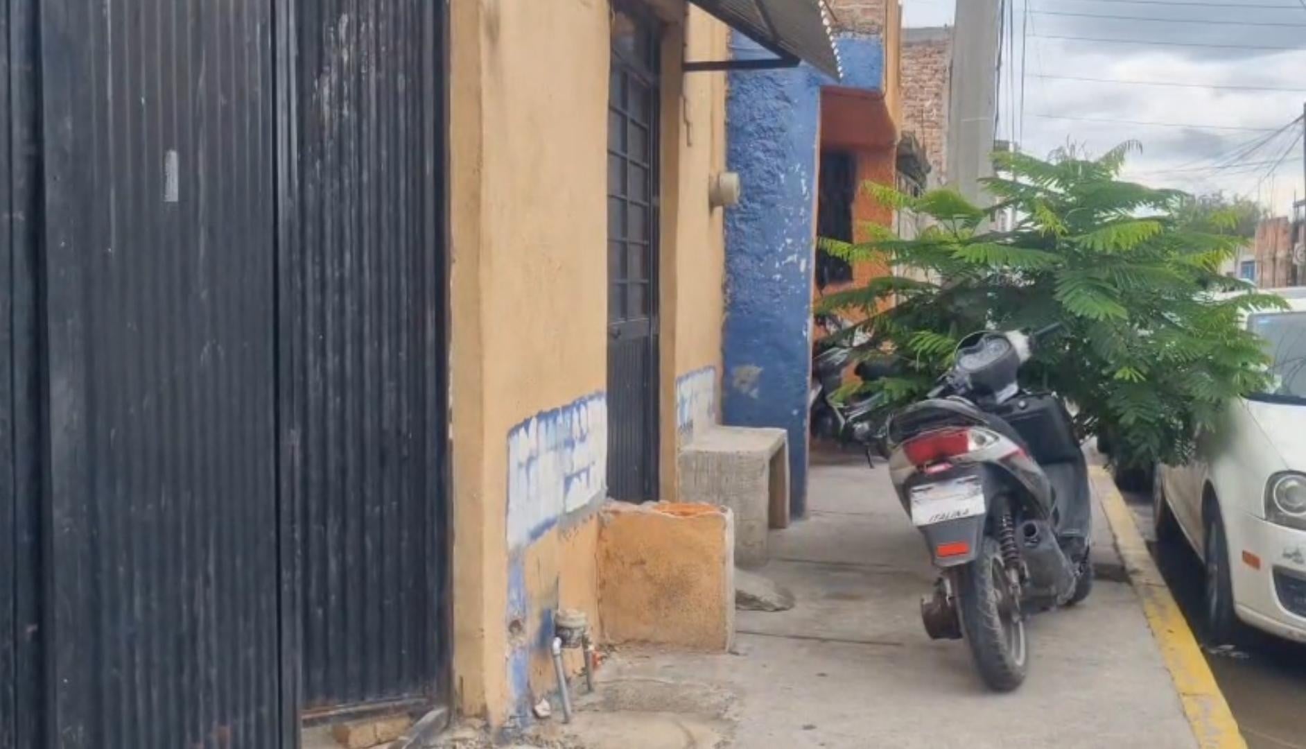 Investigan maltrato animal por envenenamiento de siete perros en esta colonia