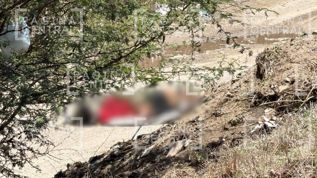 ¡Hallazgo! Vecinos y conductores encontraron los cuerpos de una mujer y un hombre en terracería