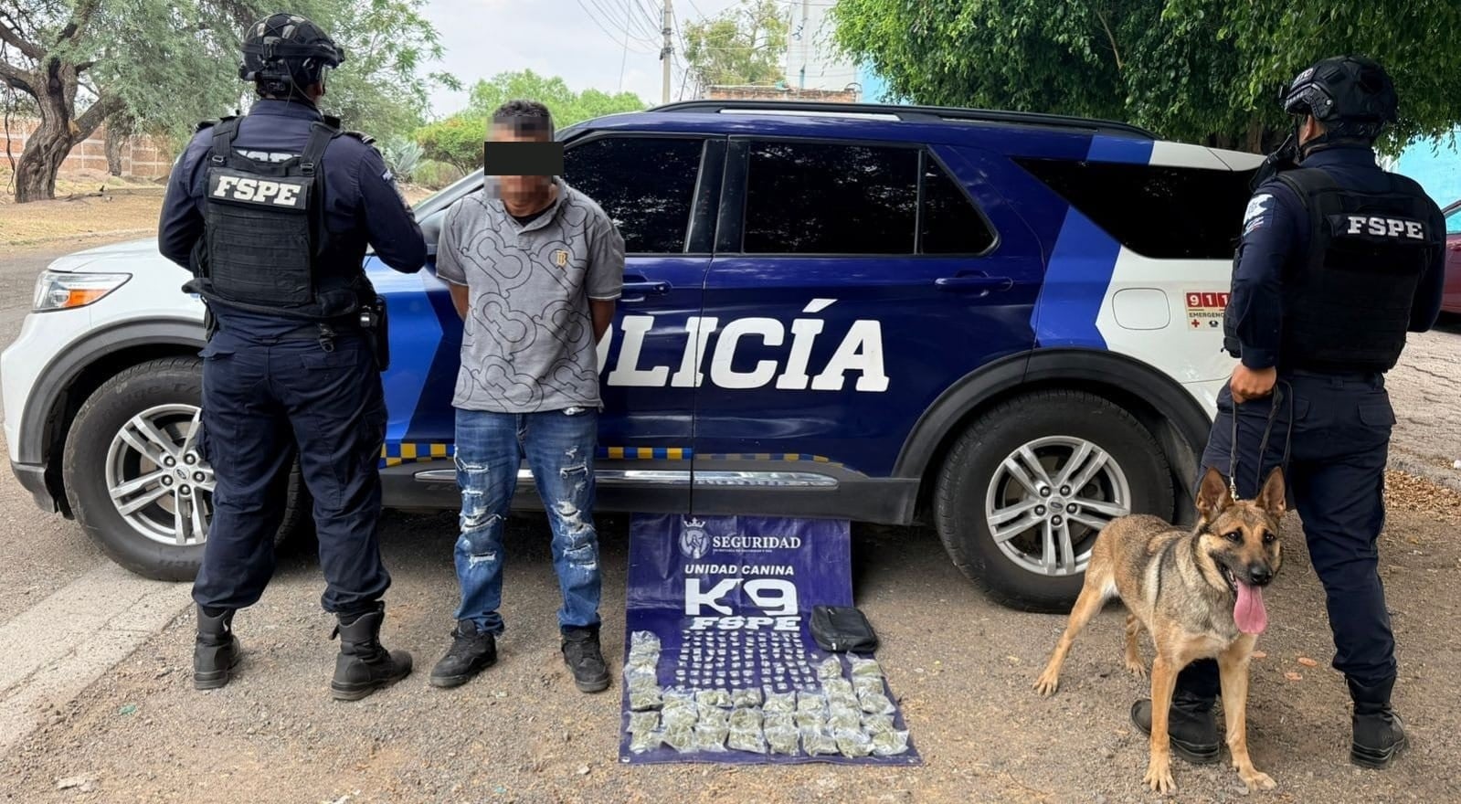 Unidad Canina K9 en acción: Cae Rey con droga en Santa María del Granjeno