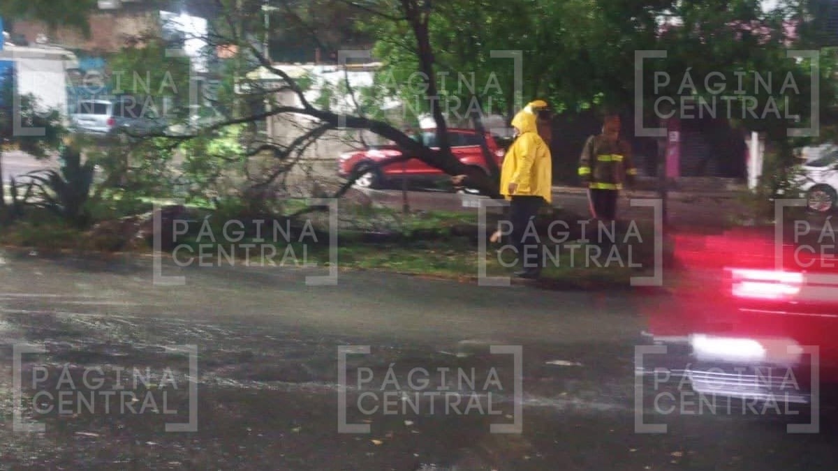 Lluvias provocan inundaciones, caída de árboles y cierres viales en León