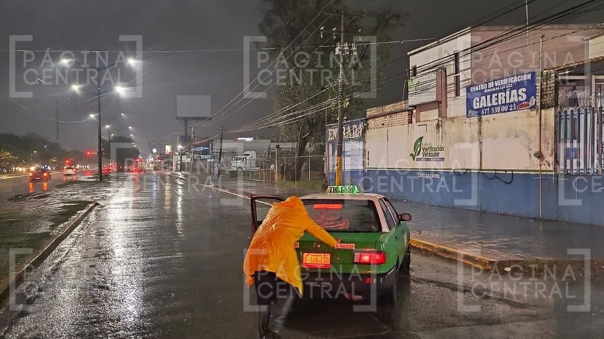 Lluvias provocan inundaciones, caída de árboles y cierres viales en León