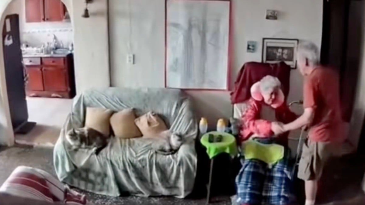 VIDEO Viralizan su amor: abuelo protege así a su esposa durante sismo en Venezuela