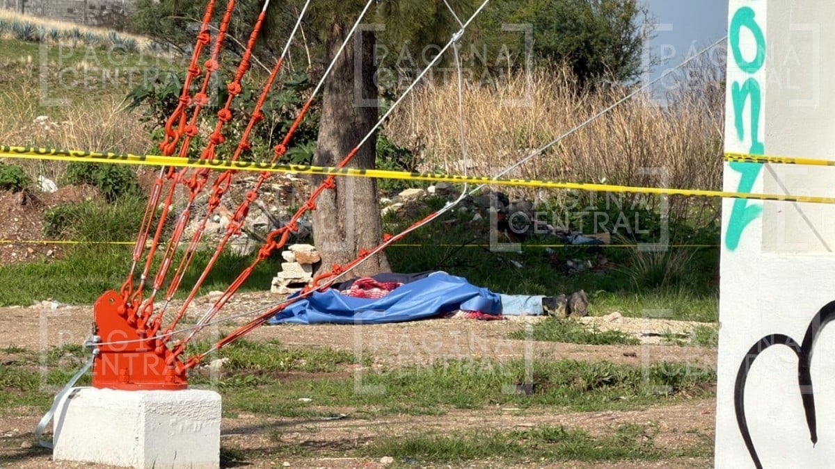 ¡Terrible! Encuentran cuerpo de hombre debajo de un árbol, tenía huellas de violencia