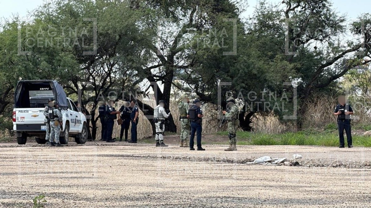 ¡Hallazgo! Leoneses que iban a trabajar encuentran un cuerpo frente al panteón