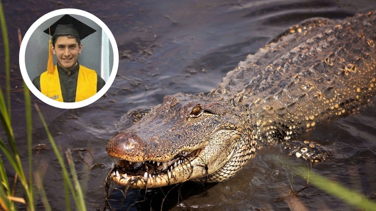 “Perdóname, hijo”: Irving tomaba una foto en Vallarta cuando un cocodrilo lo arrastró al mar