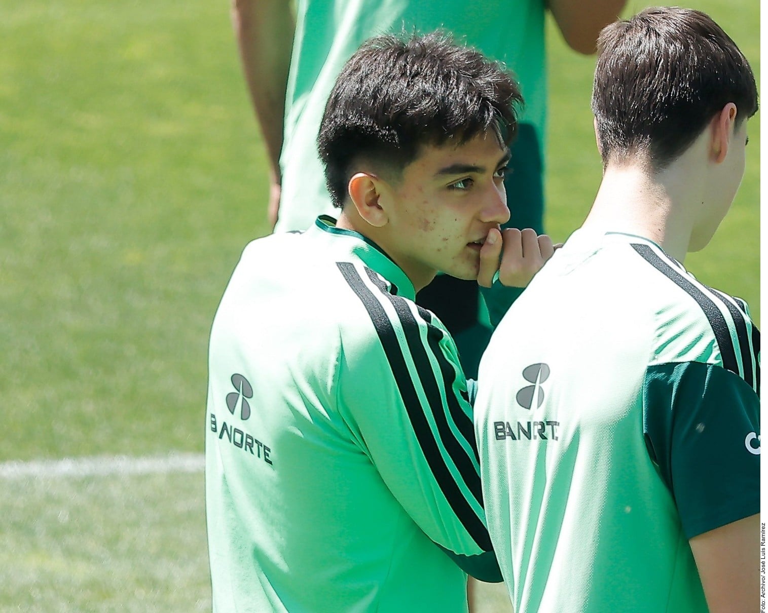 Alineación