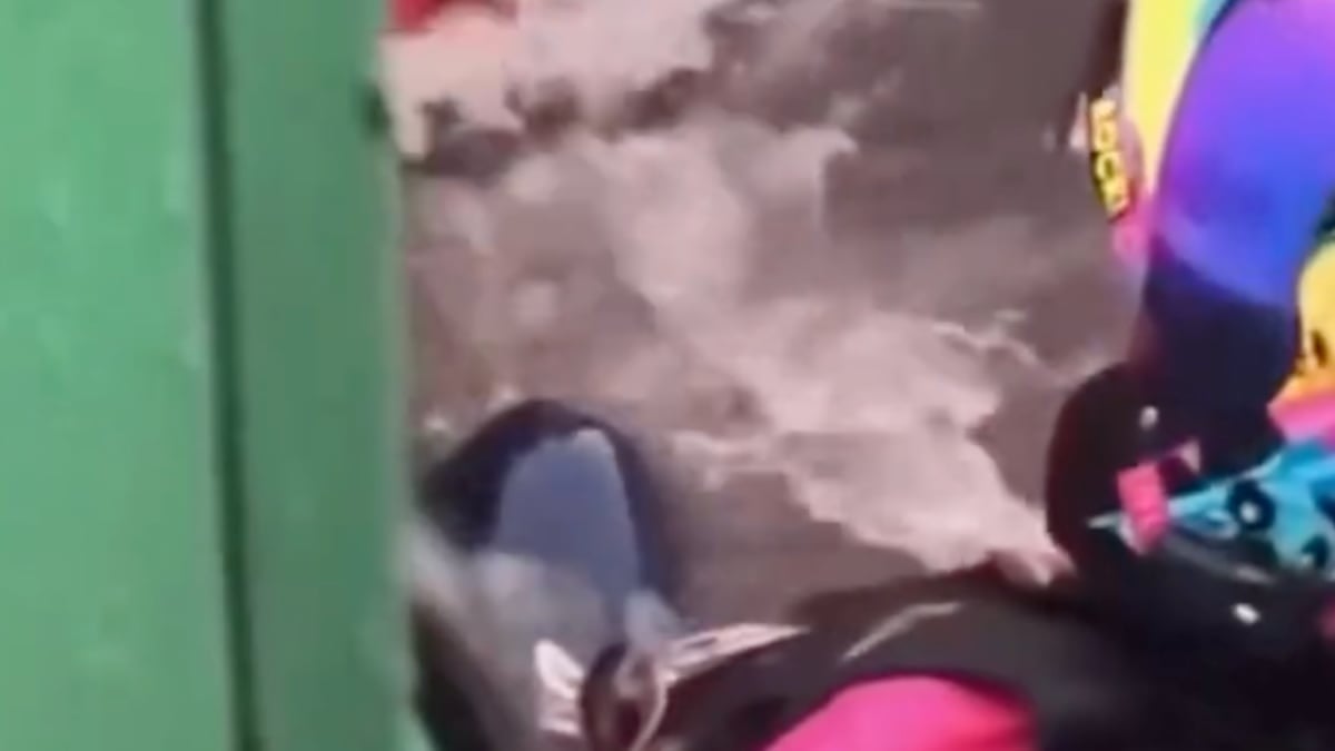 VIDEO ¿Valía más lo material? Motociclista se niega a dejar su vehículo pese a inundación