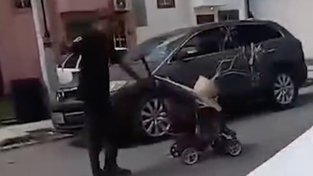 Vecina exhibe en video a presunto ladrón de plantas tras sorprenderlo nuevamente