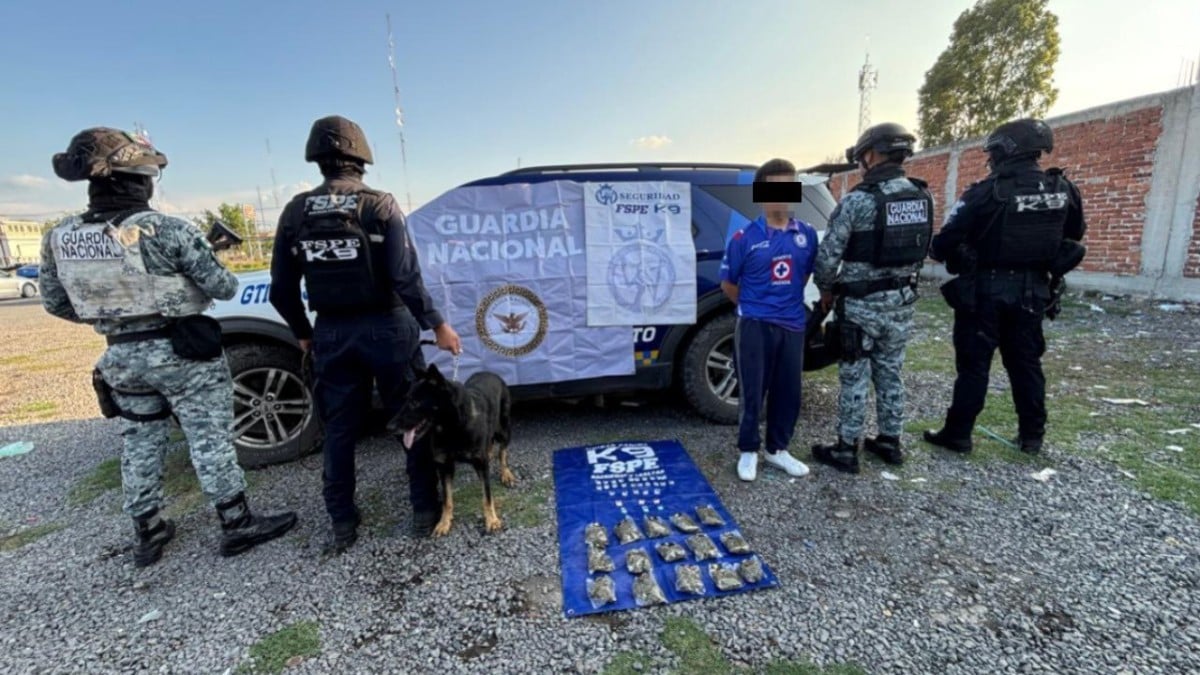 Oficial canino permite detención de un hombre con más de 600 dosis de drogas en Irapuato