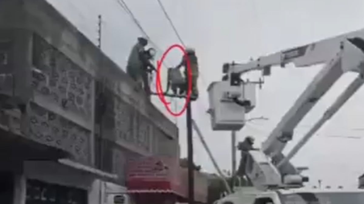 VIDEO ¿El ladrón más inepto? Hombre quería robar una casa, pero acaba atorado en un poste