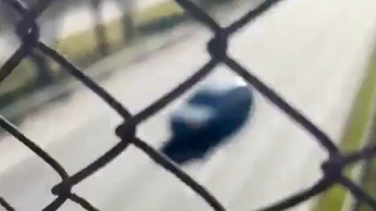 VIDEO ¡Iba de reversa en la carretera! Camioneta provoca accidente en la Panamericana
