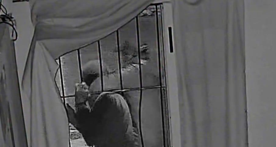 VIDEO ¡Robo y no pudo salir! Dueño da paliza a ladrones que trataron de saquear su negocio
