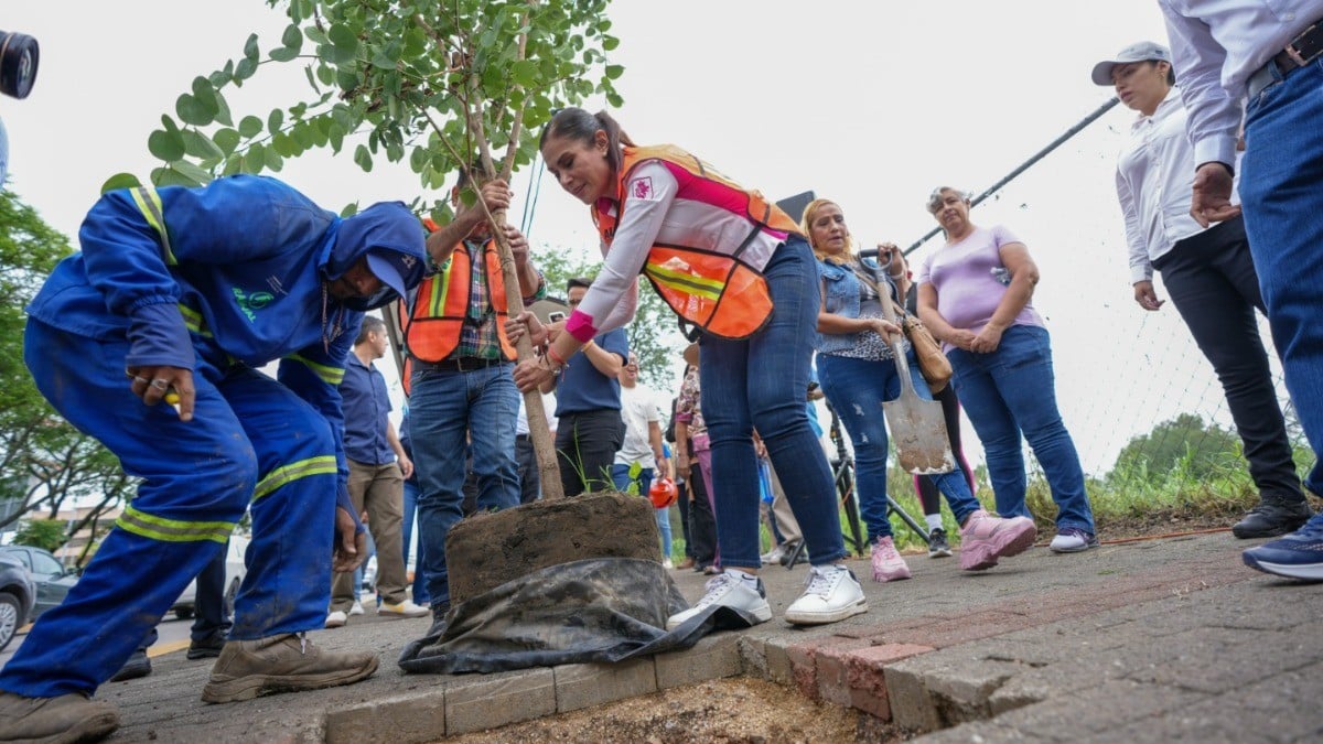 ¡León se pone verde! Árboles y nuevas banquetas transforman la ciudad