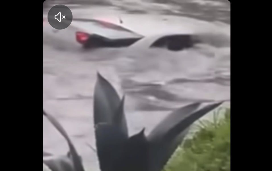VIDEO Aguacero en León arrastra automóvil en la colonia Killian II; ¿llevaba pasajeros?
