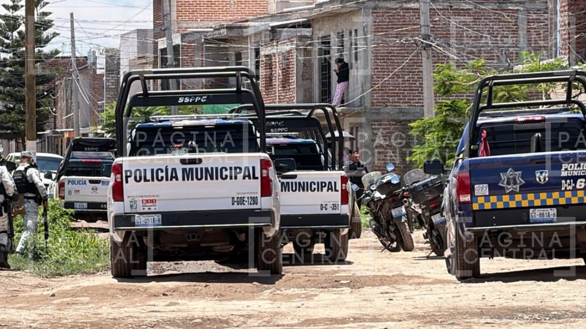 EL REPORTE