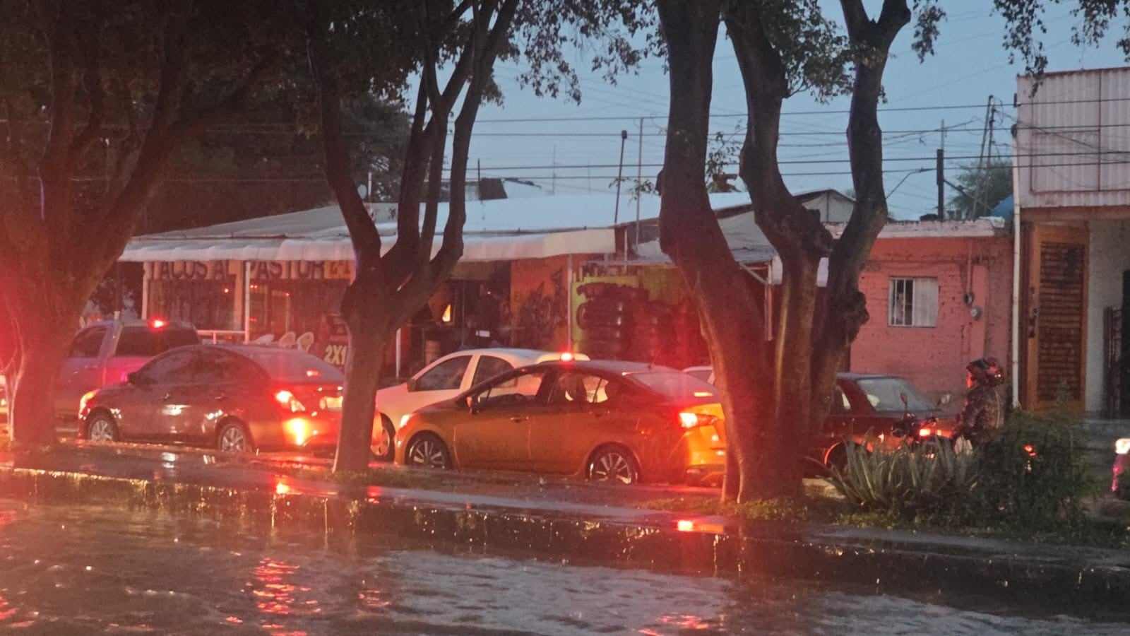 Lluvias, viento y granizo provocaron árboles caídos, encharcamientos y cierres viales en León; autoridades atendieron 37 reportes y mantienen monitoreo