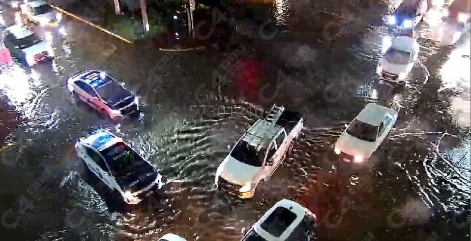 Lluvias, viento y granizo dejan árboles caídos e inundaciones en León