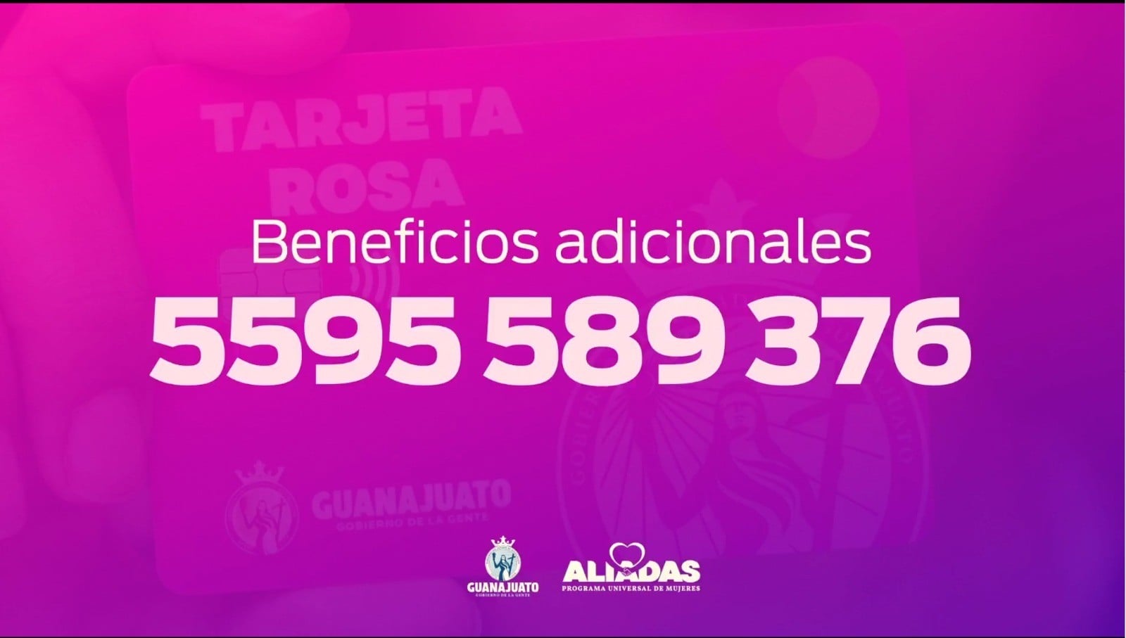 Avanzan solicitudes de la Tarjeta Rosa
