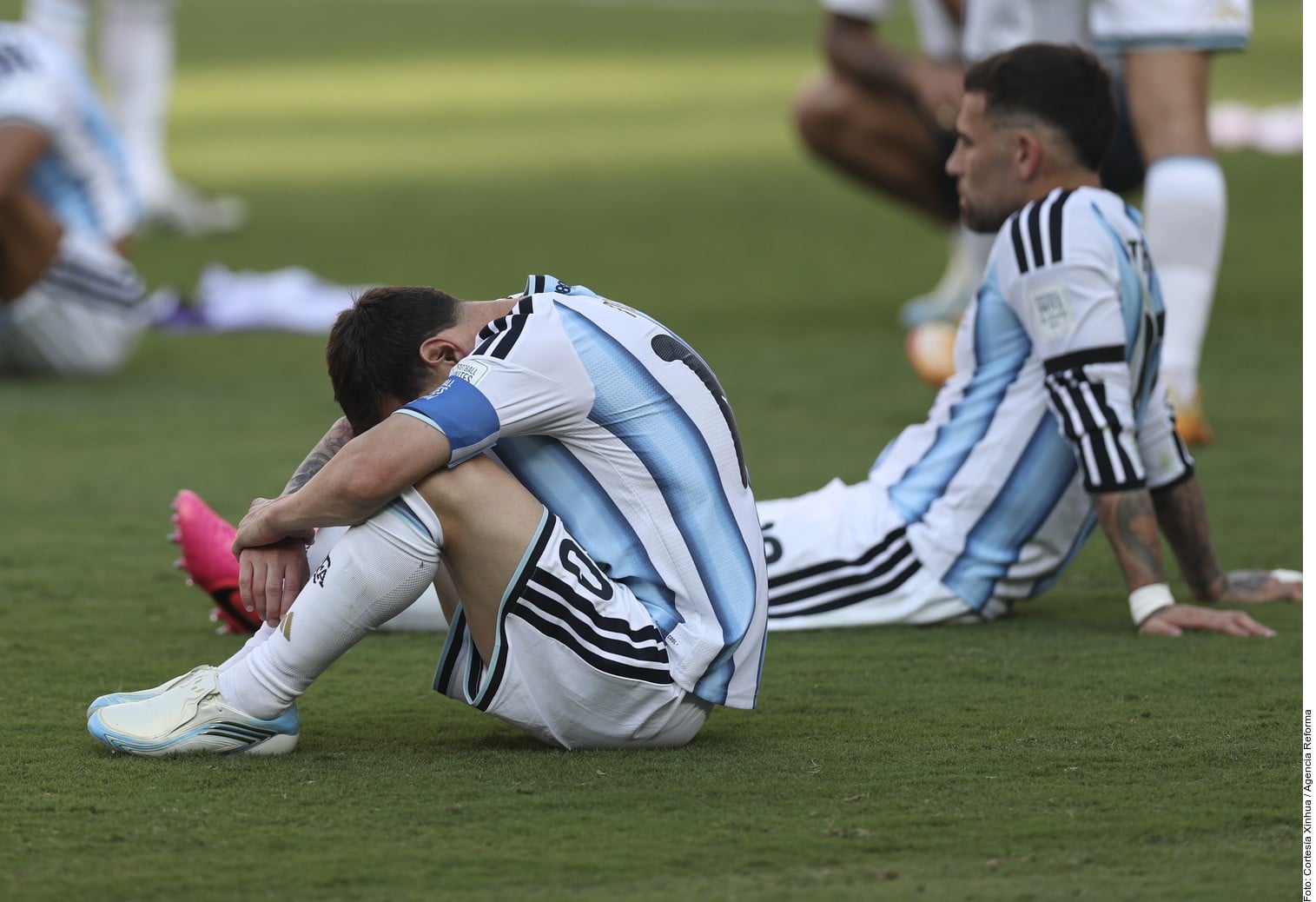 EL DOLOR
