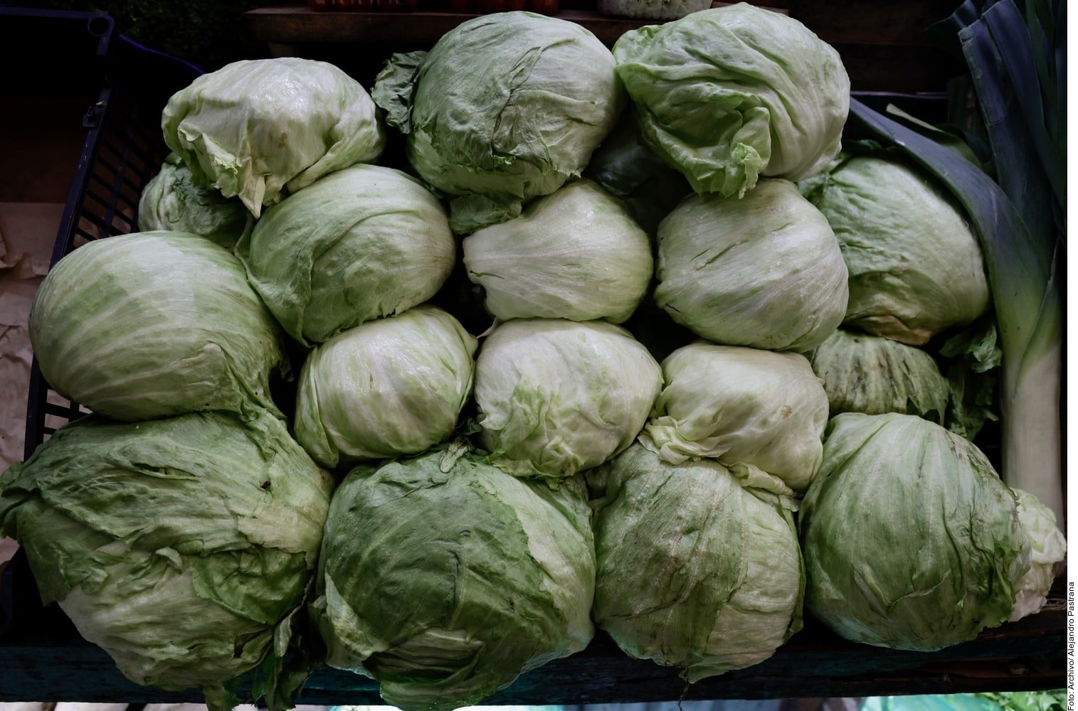 Investigación sigue apuntando a lechuga de México: FDA
