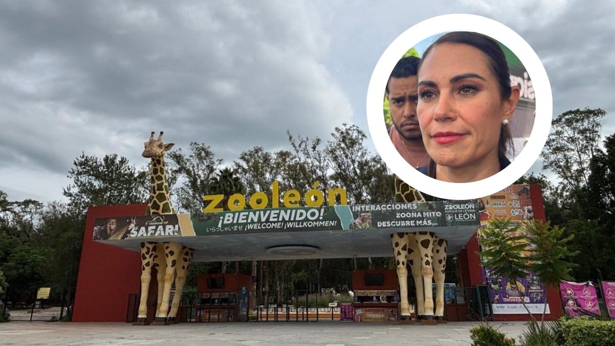 “Había una red donde hacían cosas indebidas en el Zoológico” Asegura Ale que les quitó negocio