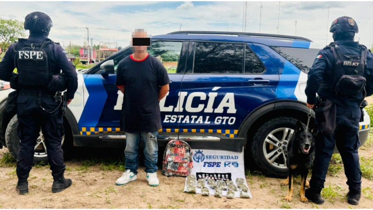 Llevaba cientos de drogas en una mochila en Irapuato, pero oficial canino lo descubrió