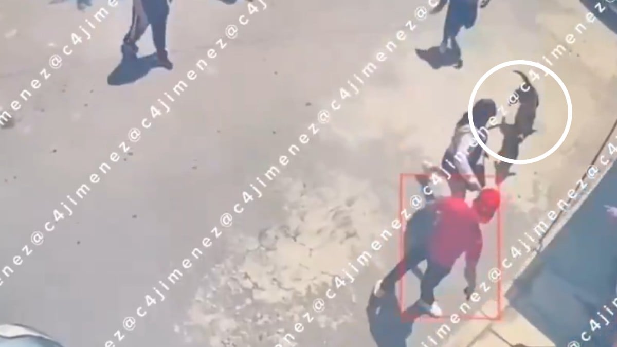 VIDEO Sujeto abre fuego contra un hombre y su perrito; la mascota perdió la vida