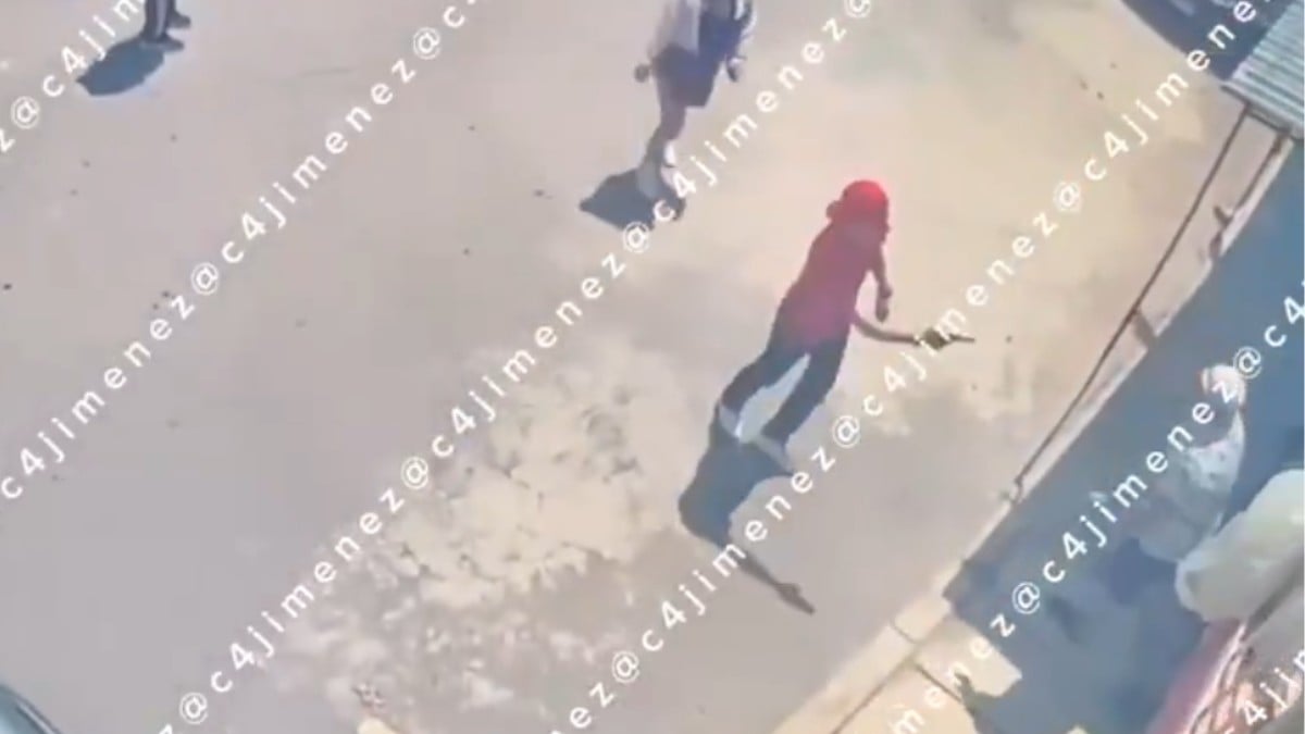 Perrito asesinado