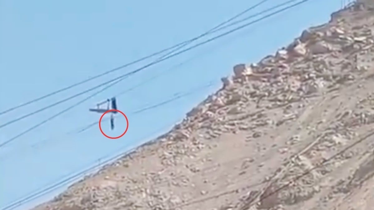 VIDEO Falla en tirolesa industrial termina en tragedia: trabajador muere al caer de 50 m