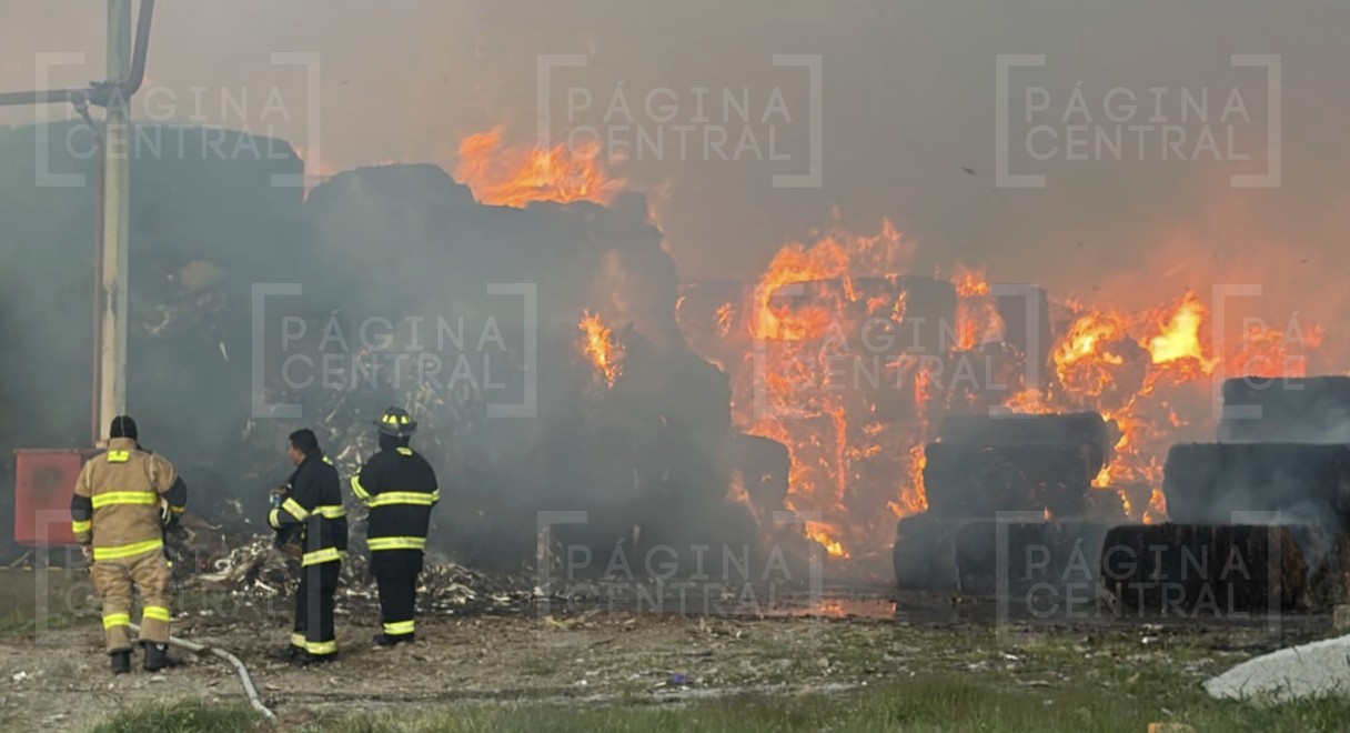 ¡Caos vial en la zona! Consume incendio una cartonera en el bulevar Timoteo Lozano en León