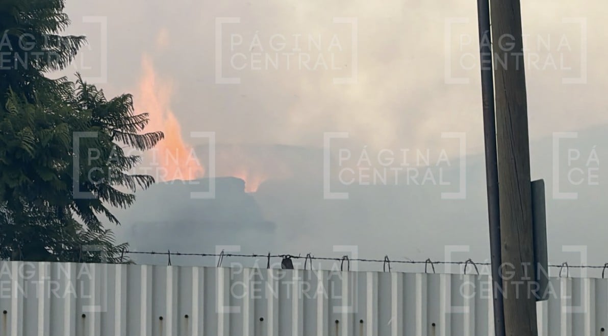 ¡Caos vial en la zona! Consume incendio una cartonera en el bulevar Timoteo Lozano en León