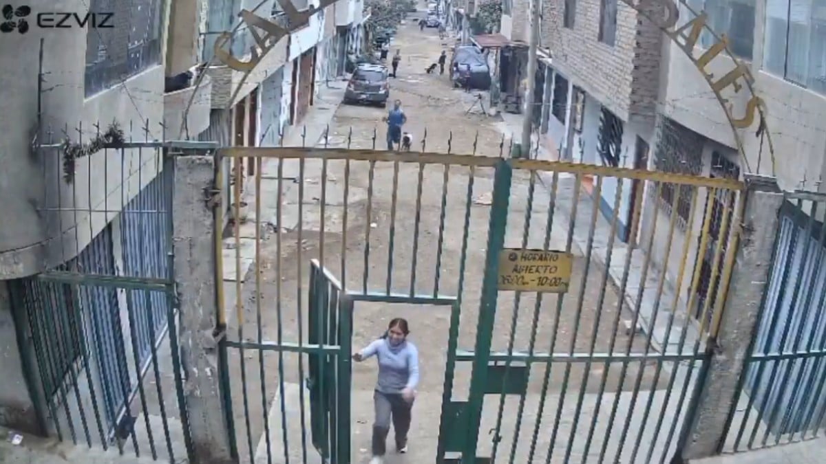 VIDEO ¡No lo dejó escapar! Mujer corre a cerrar una reja y logra atrapar a un ladrón