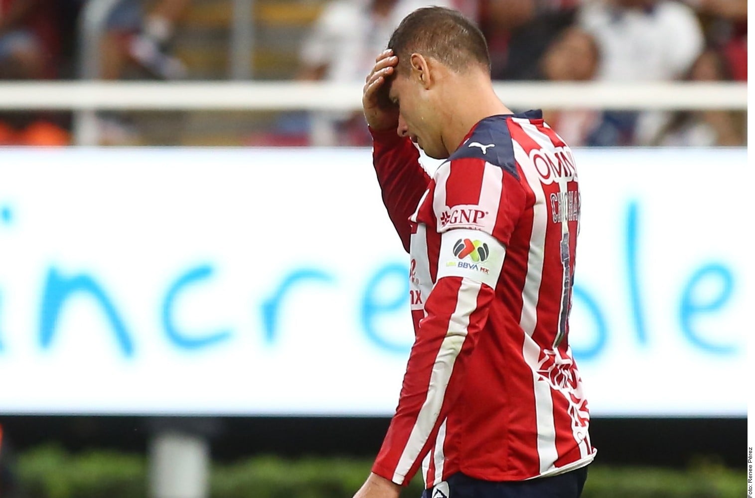 Javier Hernández