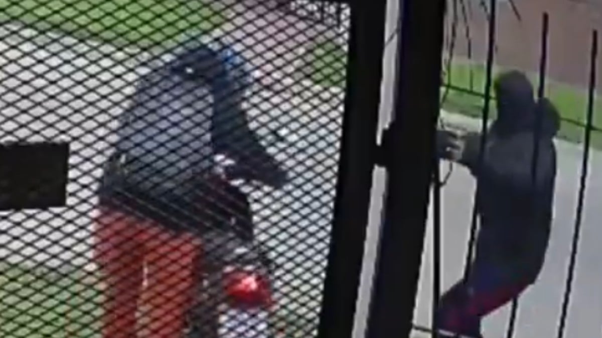 VIDEO Mujer intenta resistirse a un asalto, pero le roban la moto y le disparan 5 veces