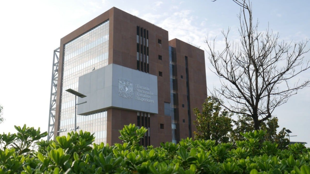 ¿Y el copiadero? Aspirantes de la UNAM en Guanajuato no muestran resultados atípicos