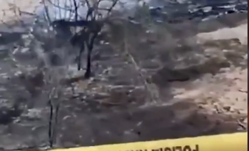 VIDEO ¡Caída fatal! Mueren trece tras impacto de avioneta