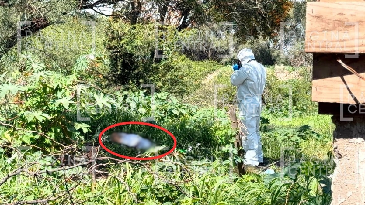 ¡Tirado en baldío! Vecinos iban a trabajar cuando encontraron así el cuerpo de un hombre