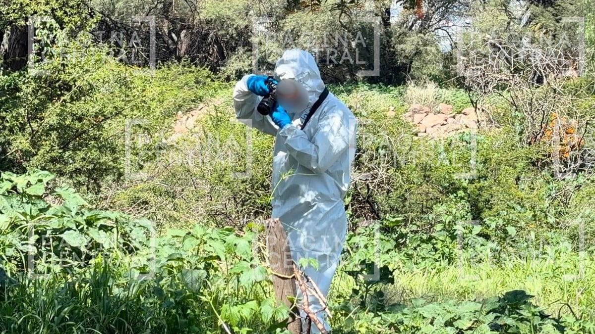 LA INVESTIGACIÓN