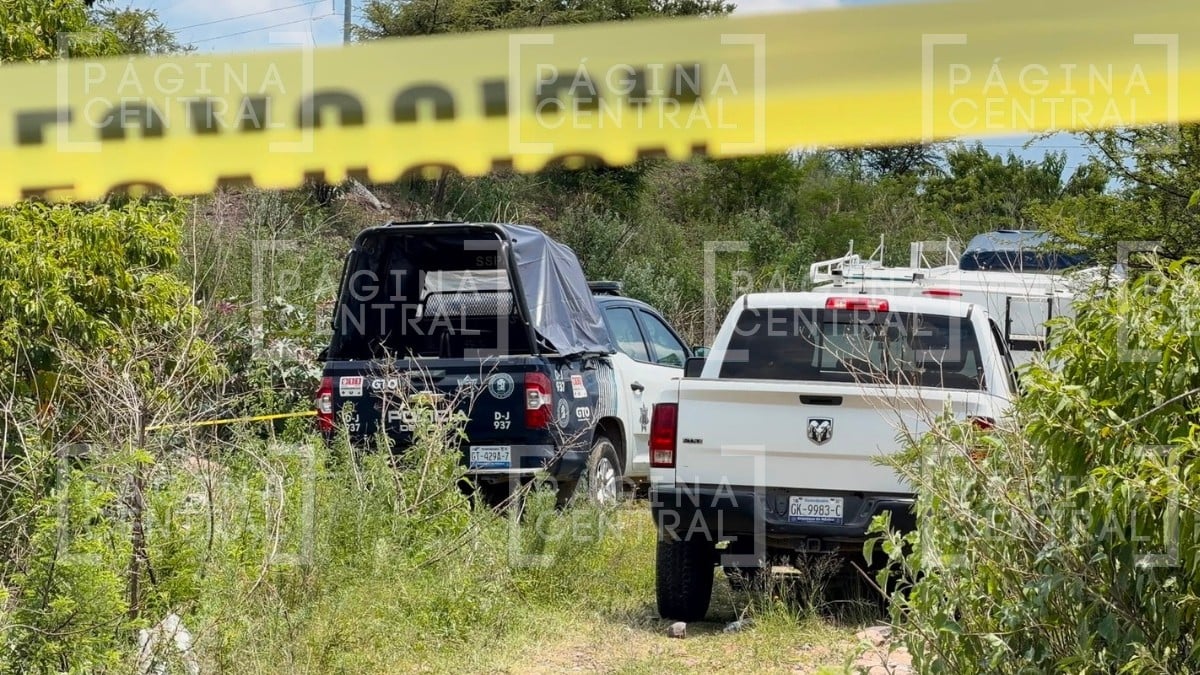 Terror en Punta del Sol: Encuentran a una pareja asesinada en medio de la hierba