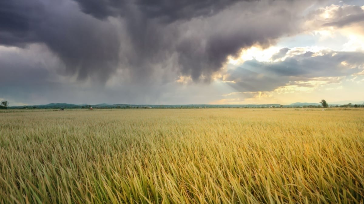 Secretaría del Campo realiza censo de productores afectados por inundaciones para apoyos