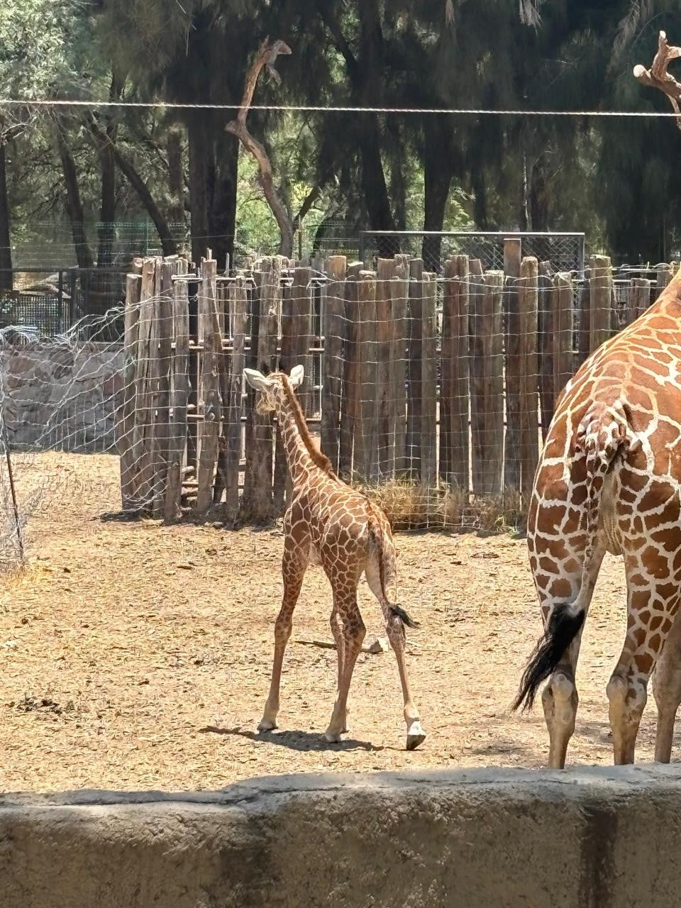 Zoológico de León