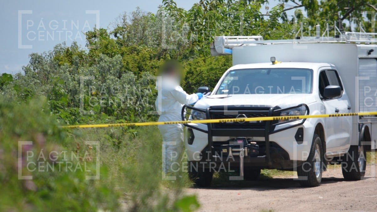 CUERPOS EN REFUGIO DE ROSAS