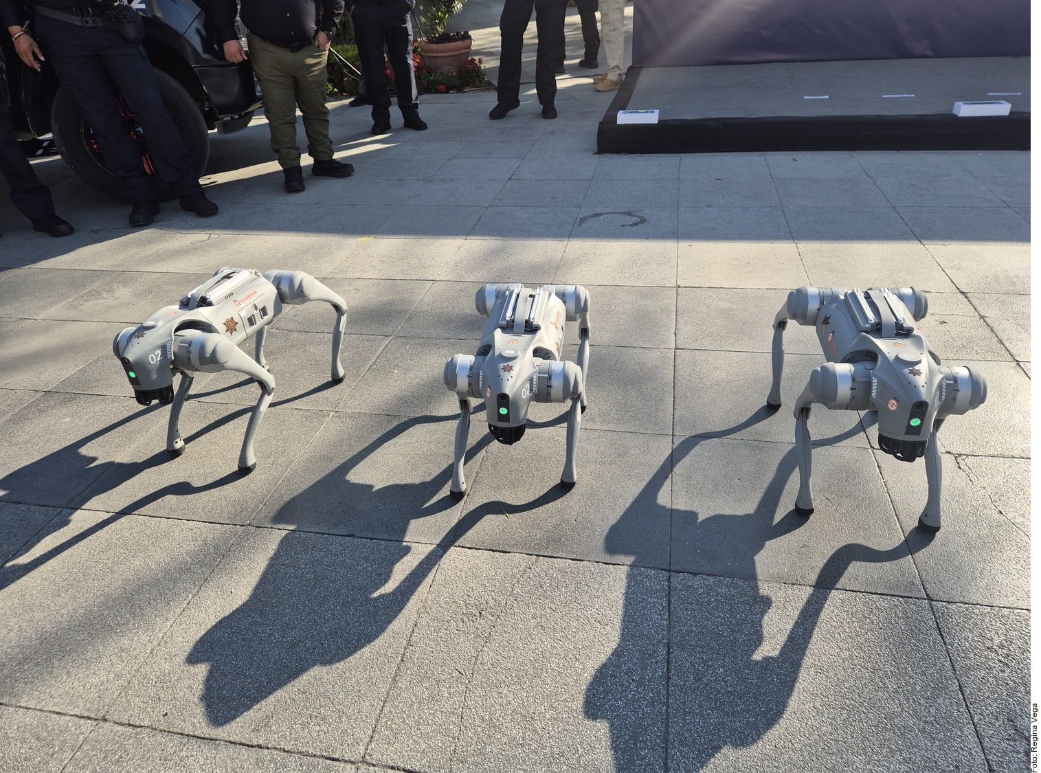 ¡Bienvenido, firulais! El futuro nos alcanzó y llegan los perros robots para vigilar las calles