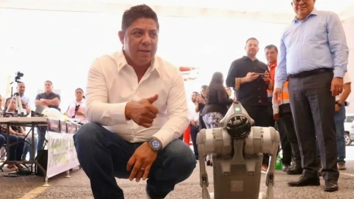 PERROS ROBOTS